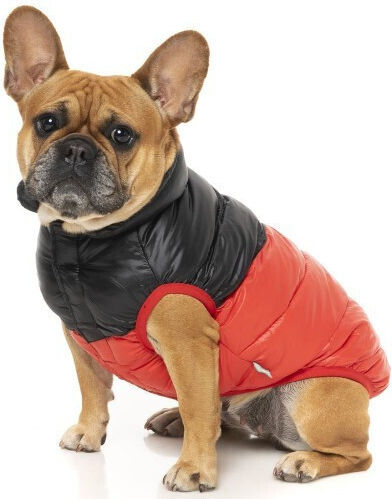 Fuzzyard Harlem Red Dog Coat XLarge with 60cm Back Length