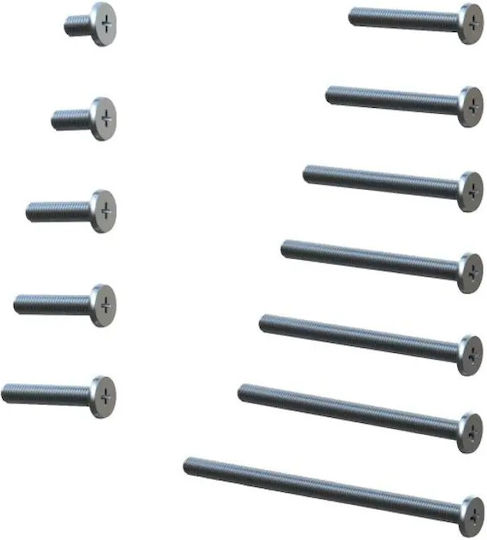 Mesan Βίδα Ίσια με Μήκος 6mm
