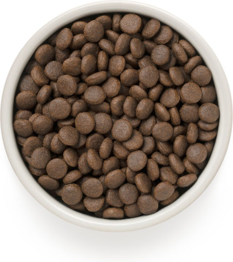 Grandorf Holistic & Hypoallergenic 3kg Dry Food Gluten-Free for Adult Small Breed Dogs with Turkey, Lamb, Duck and Rabbit
