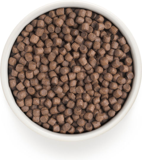 Grandorf Holistic & Hypoallergenic 1kg Dry Food Gluten-Free for Adult Small Breed Dogs with Turkey