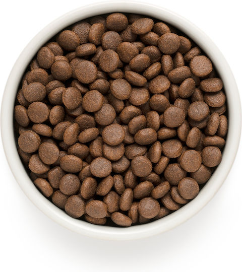 Grandorf Holistic & Hypoallergenic 3kg Dry Food Gluten-Free for Adult Medium & Large Breed Dogs with Fish