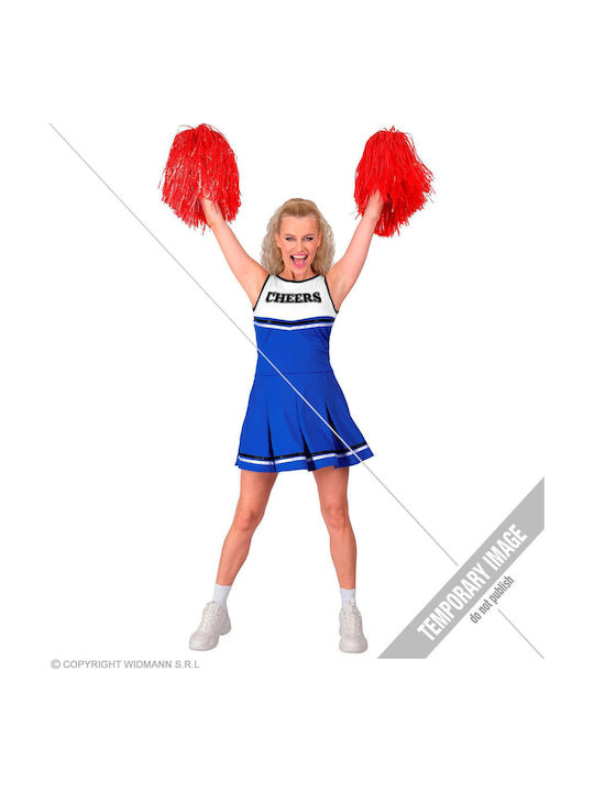 Carnival Costume Cheerleader