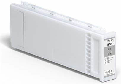 Epson Singlepack Original Cerneală Imprimantă InkJet Gri (C13T800900)