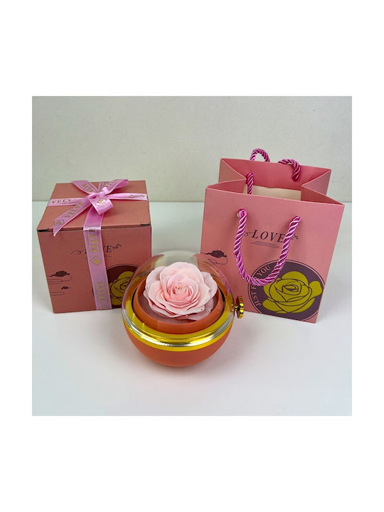 Pink Soap Rose In Elegant Box Transparent Dome Chain Surprise Pendant