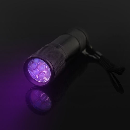 Φακός LED UV