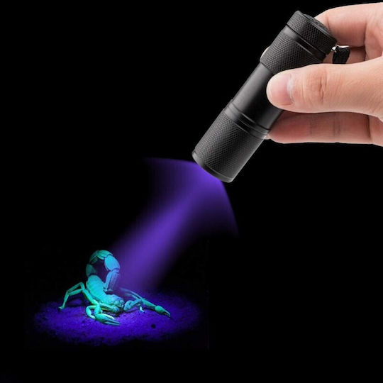 Φακός LED UV