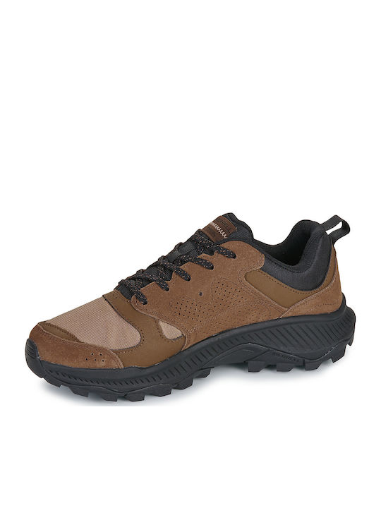 Sneakers Brown