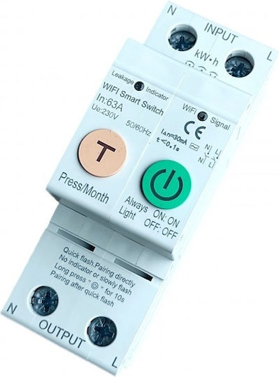2-Poles WiFi Button Panel Push Button Switch 63A
