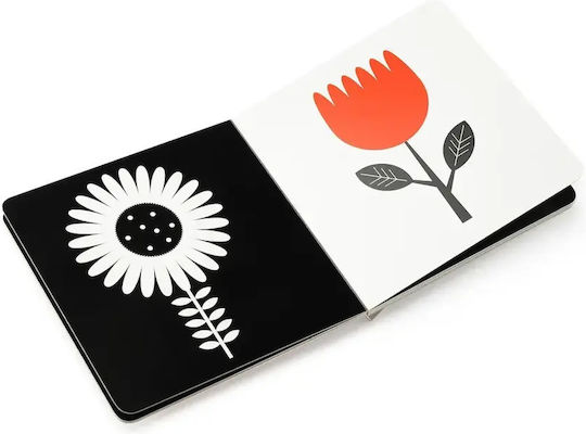 Savvalas Activity Book