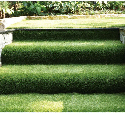 Natural Turf in Roll with 45mm Height