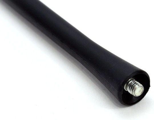 Antena Auto Universală 40 Cm 6 Mm Radio Antm08