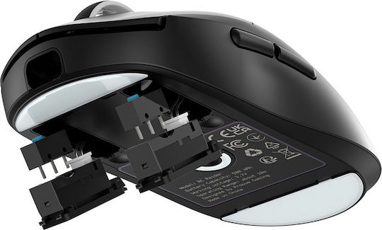 Proove Raider Gaming Gaming Maus Schwarz