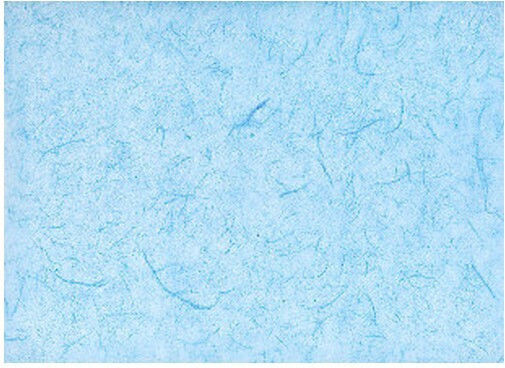 Монохартия Light Blue 95x65см