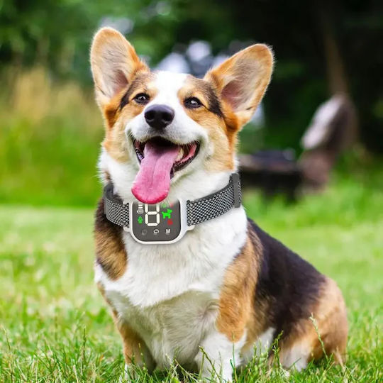 SPV Elektrisches Trainingshalsband für Hunde Anti-Bellen