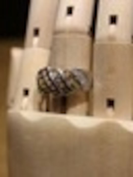 Ring made of Silver 00007088