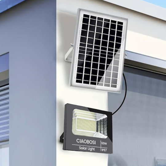 Avizar 60W IP67 LED Слънчев Прожектор Отделен Слънчев Панел Дистанционно Прозрачен Черен