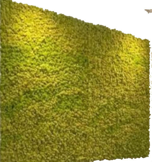 Изкуствена панелна листва Moss 2x2м