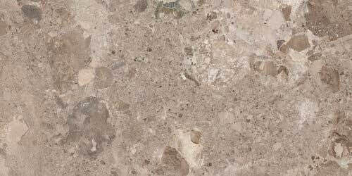 Baldocer Πλακάκι Δαπέδου Εσωτερικού Χώρου Ματ 120x60cm Bronzo