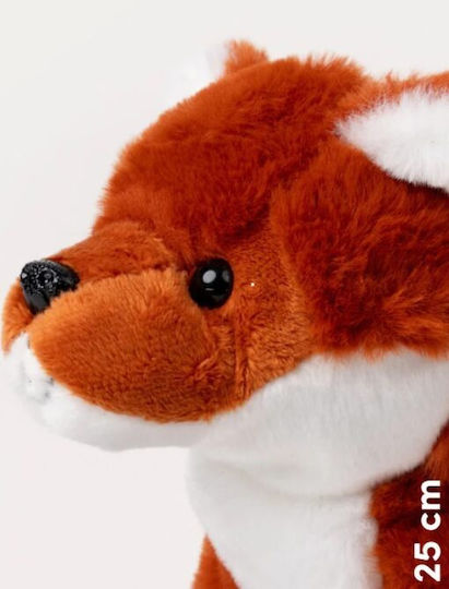 Teddy Kompaniet Плюшено