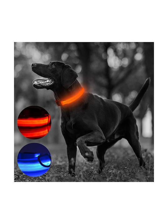 Guler Pentru Câini Iluminat Led Dimensiune M 3 Moduri De Iluminare