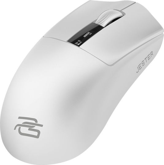 Proove Jester Gaming Gaming Maus Weiß