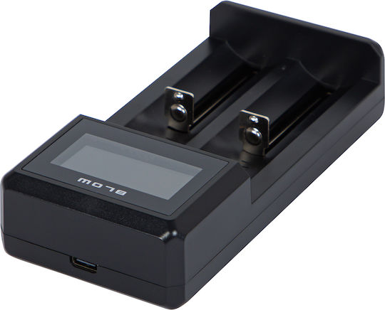 Blow USB Ladegerät 2 Batterien Li-Ion Größe AA/AAA/18650/21700/16340/26650/14500