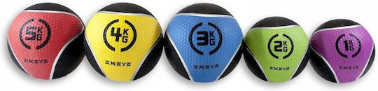 Amaya Ball Medizin 1kg