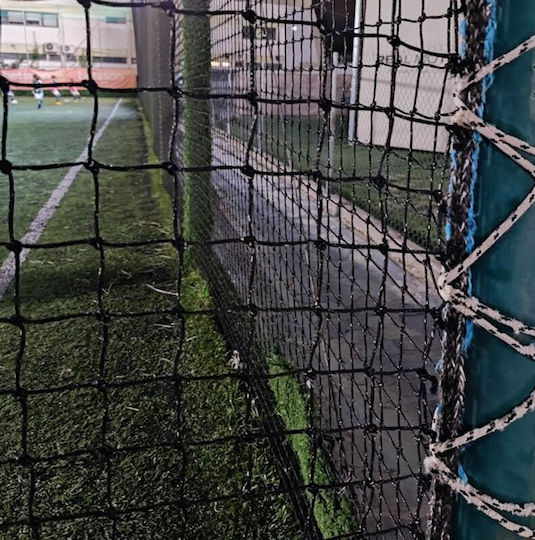Court Net Green 2x30m Φ2.8 Mesh 11x11cm