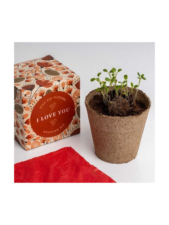 Say It Flowers I Love You Flower Growing Set 8.8 X 8.8 X 8.8 Cm
