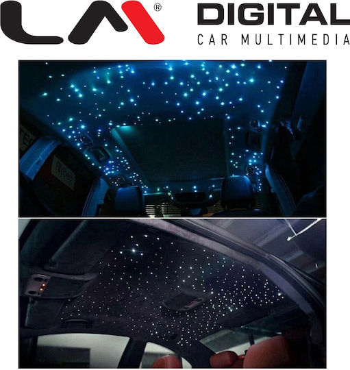 LM Digital 12V