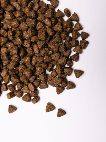 Savory Pet 1kg Dry Food for Neutered Dogs with Meat, Turkey, Apple and Rice