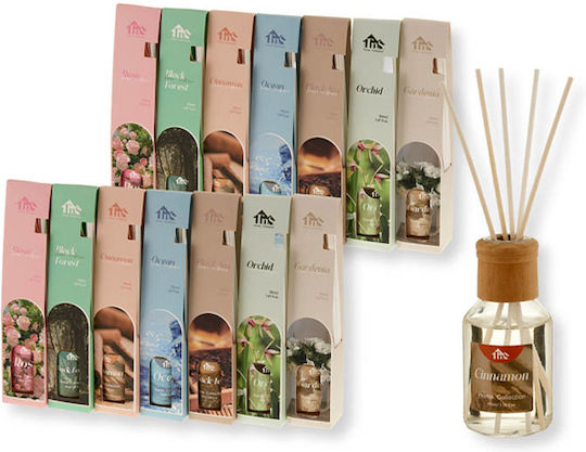 TnS Diffuser 12Stück 50ml