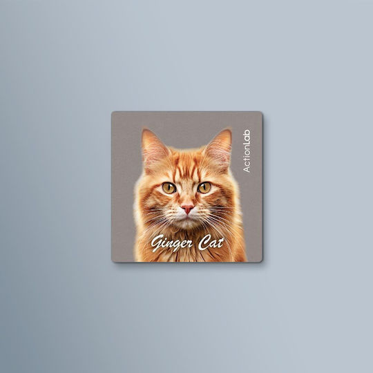 Action Lab Magnet Ginger Cat