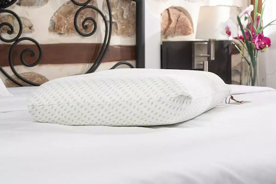 Alpha Foam Relax Aloe Vera Bed Pillow Memory Foam Anatomic 40x60x13cm