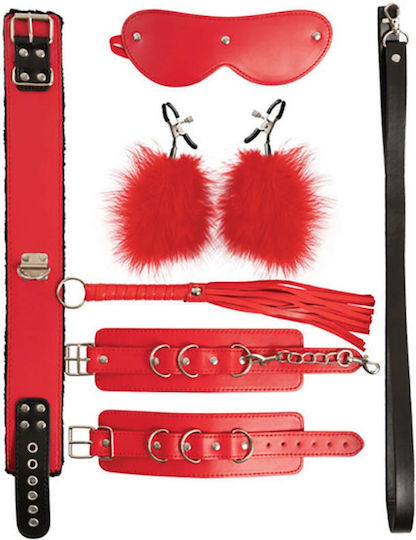 Fantasy Lingerie BDSM Kit
