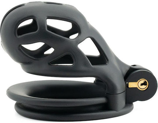 Hidden Desire Penis Cage in Black Color