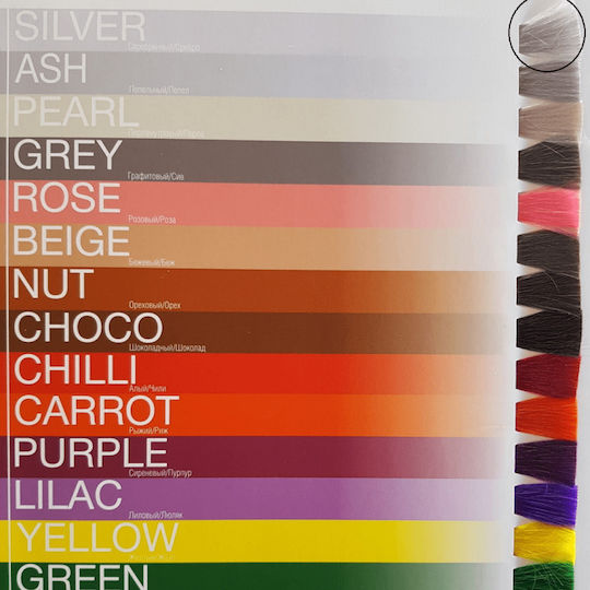 Pure Pigments Temporärer Farbstoff für Haare Ohne Ammoniak Silber 100ml