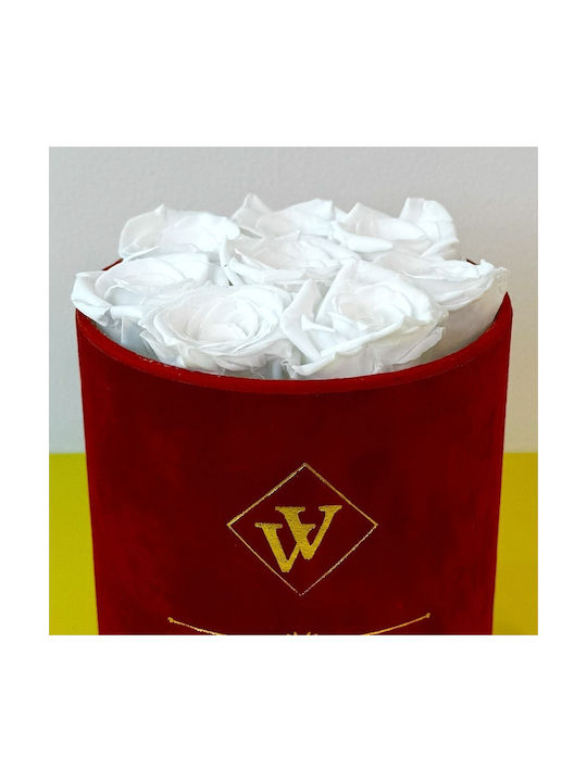 Eternal Rose Floral Arrangement Cryogenized Roses In A Round Box White Eternal Rose Floral Arrangement Cryogenized Roses In A Round Box White