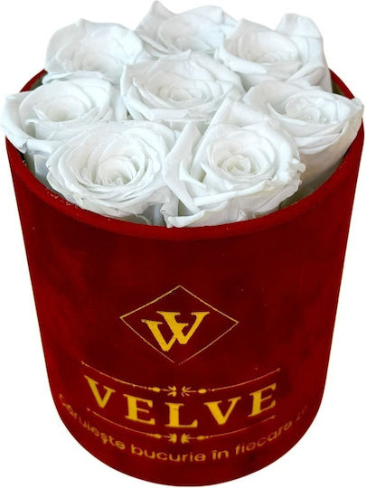 Ewige Rose Florale Anordnung Kryogenisierte Rosen In Einer Runde Box Weiße