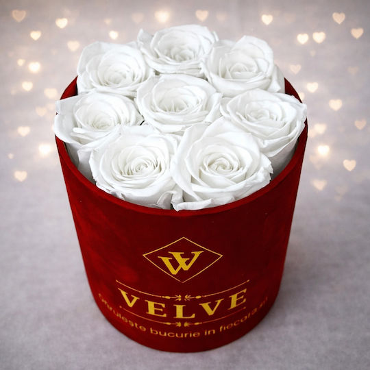 Ewige Rose Florale Anordnung Kryogenisierte Rosen In Einer Runde Box Weiße