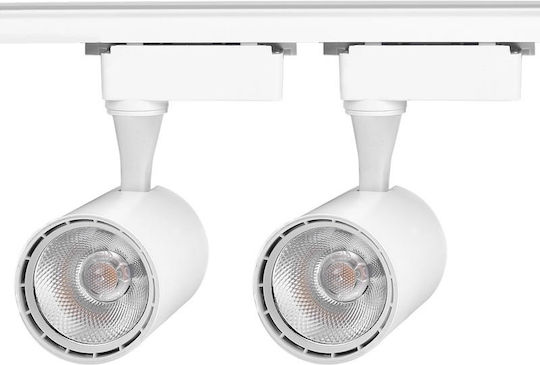 LED Warm White Spot with 10 Lights in White Color