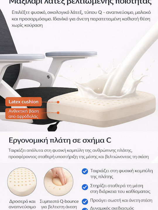 Офис Стол с Облегалка Black And White Ergonomic