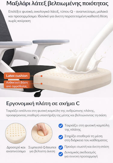 Scaun De Birou Ergonomic Cu Brațe Reglabile Negru Și Alb