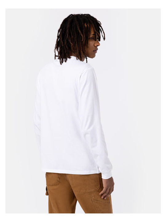 Dickies Dickies