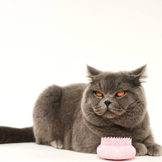 Pet Teezer Cat Grooming Brush Cat Brush 1pc
