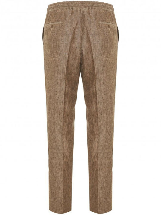 Hose Braun