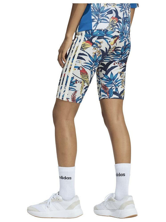 adidas adidas