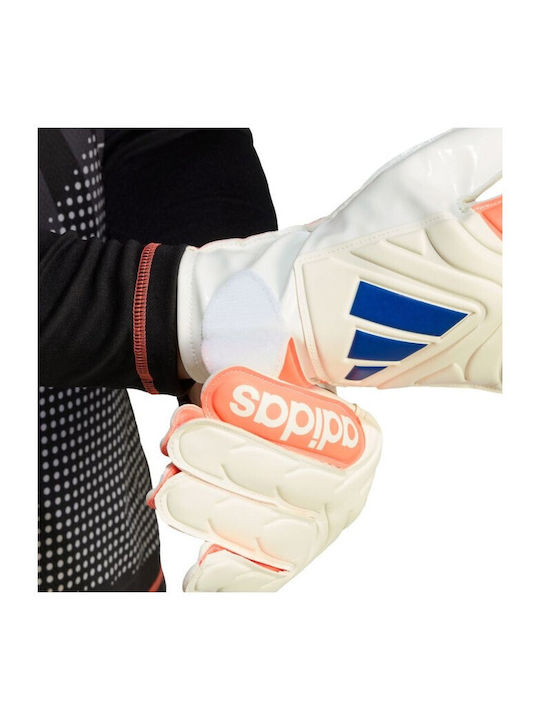 adidas Copa Γάντια Τερματοφύλακα Ενηλίκων Πορτοκαλί