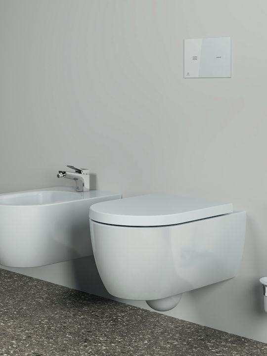 Ideal Standard Conca Glas Badezimmer Toilettenbürste Silber