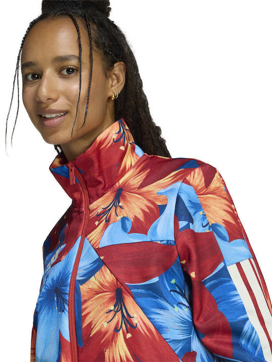 Tiro Women's Cardigan Multicolour